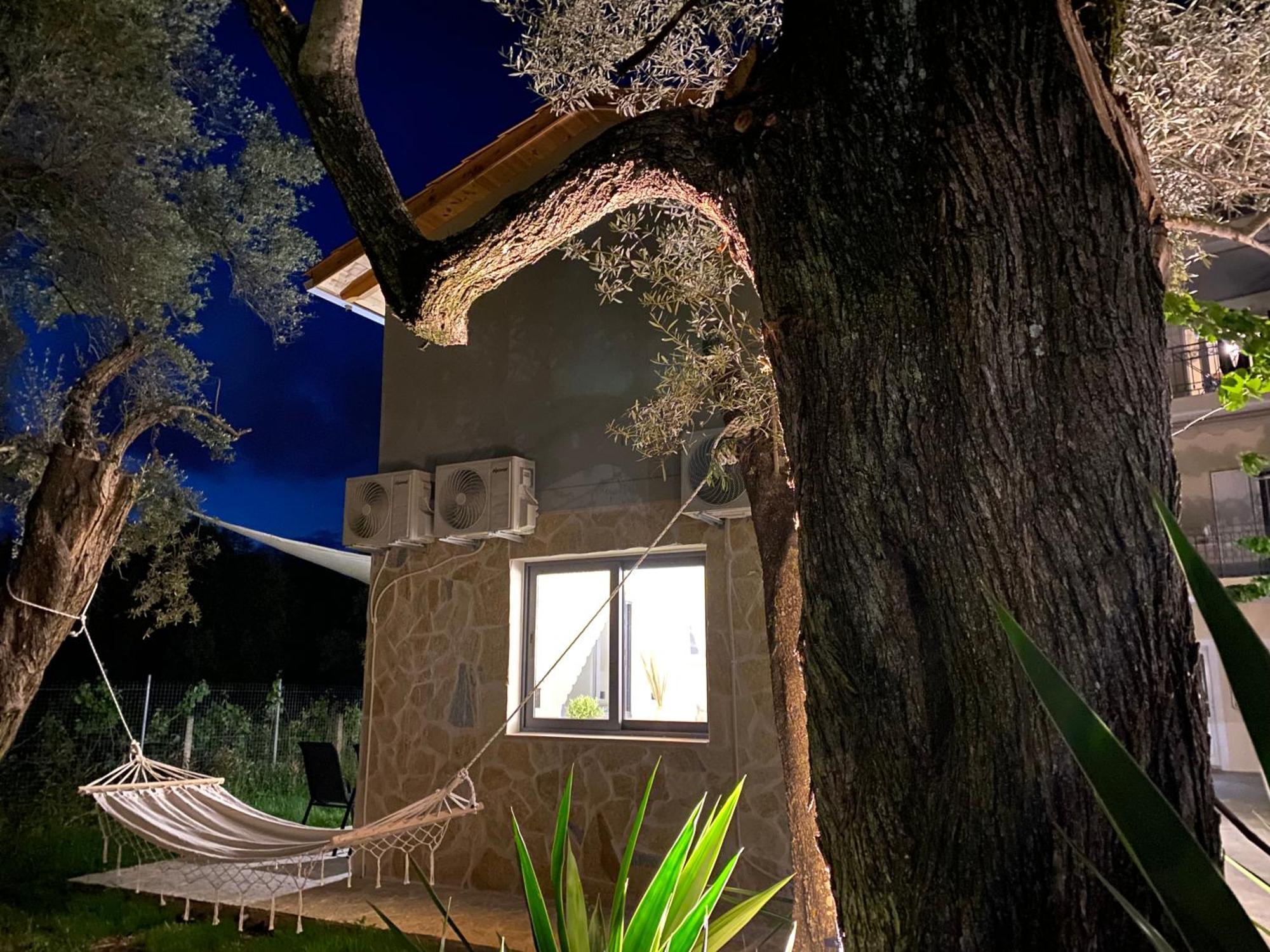 Olive Tree Apartments Лефкада Номер фото
