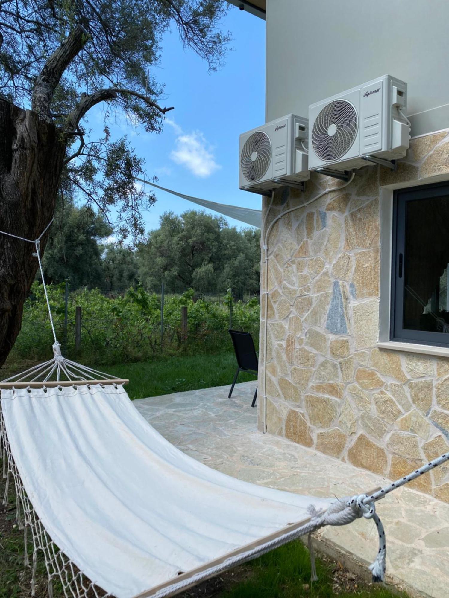 Olive Tree Apartments Лефкада Номер фото